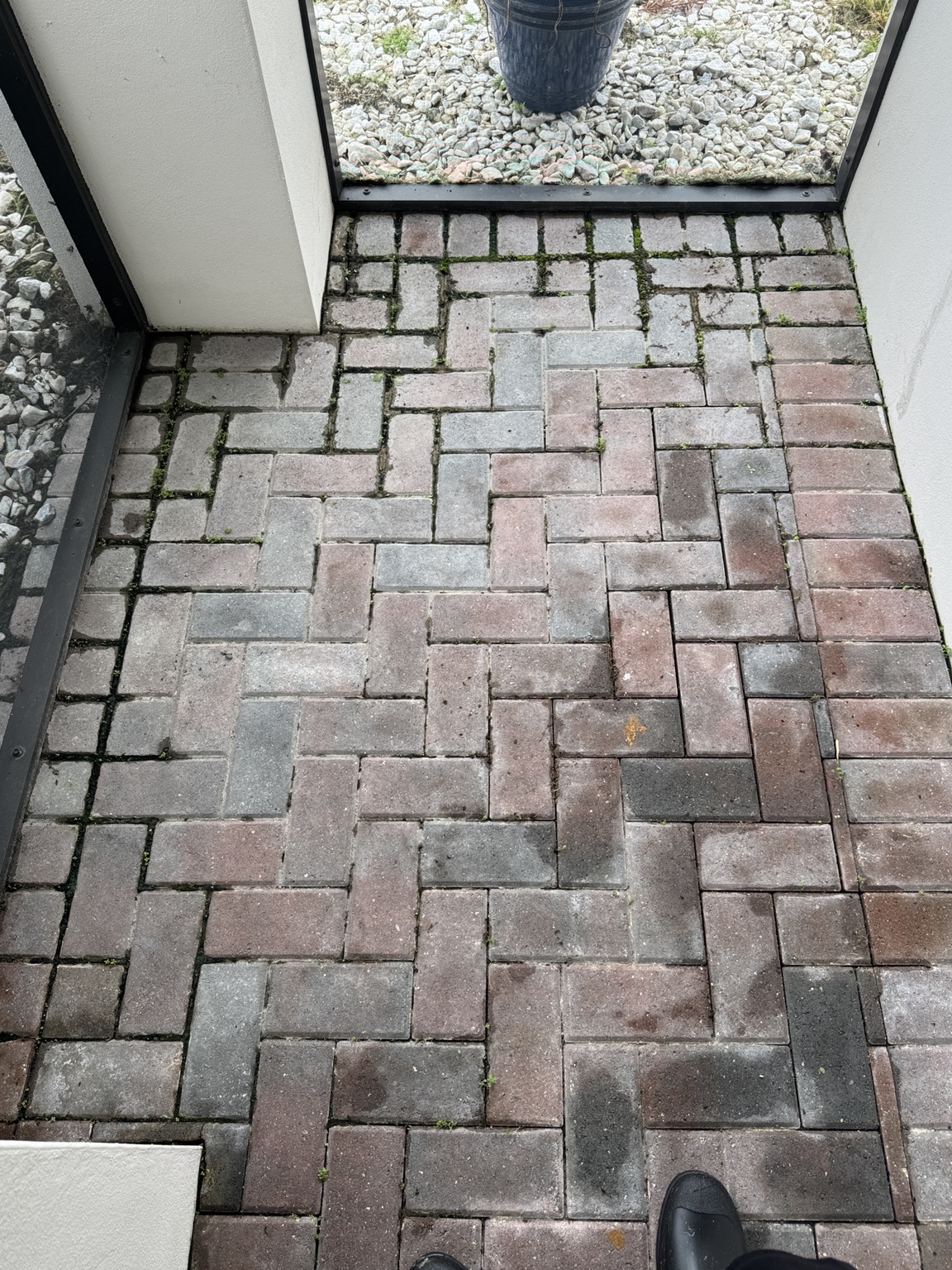 Paver cleaning before photo