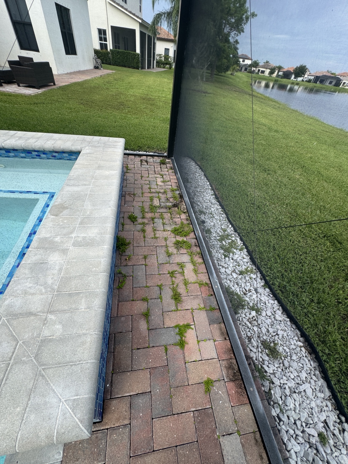 Pool pavers before cleaning