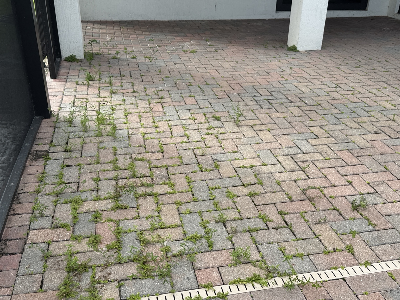 Patio pavers before cleaning